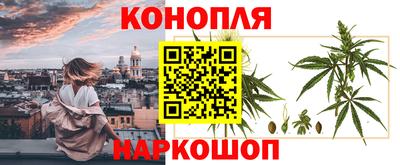 крисы Краснокаменск